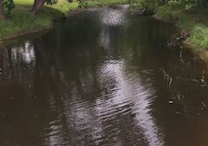 Harris County bayous